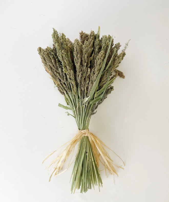 Dried Millet Bundle