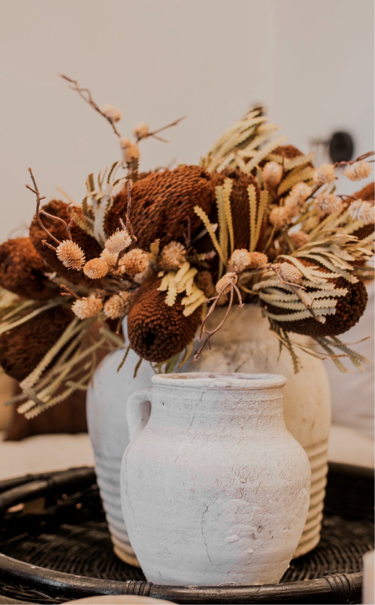 Banksia Brown