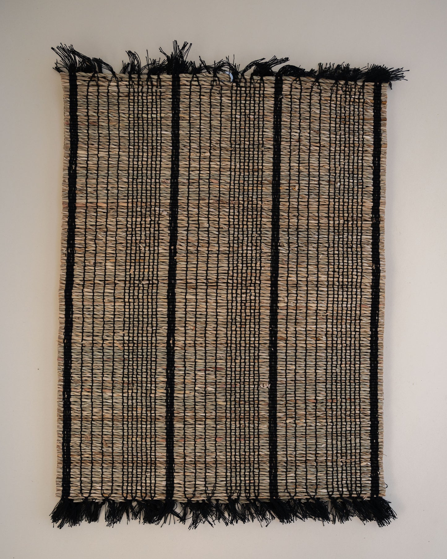 Nipomo Placemat