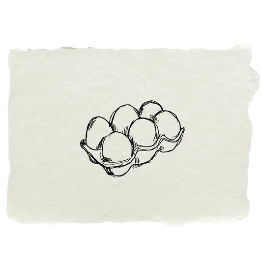 Egg Carton Art Print