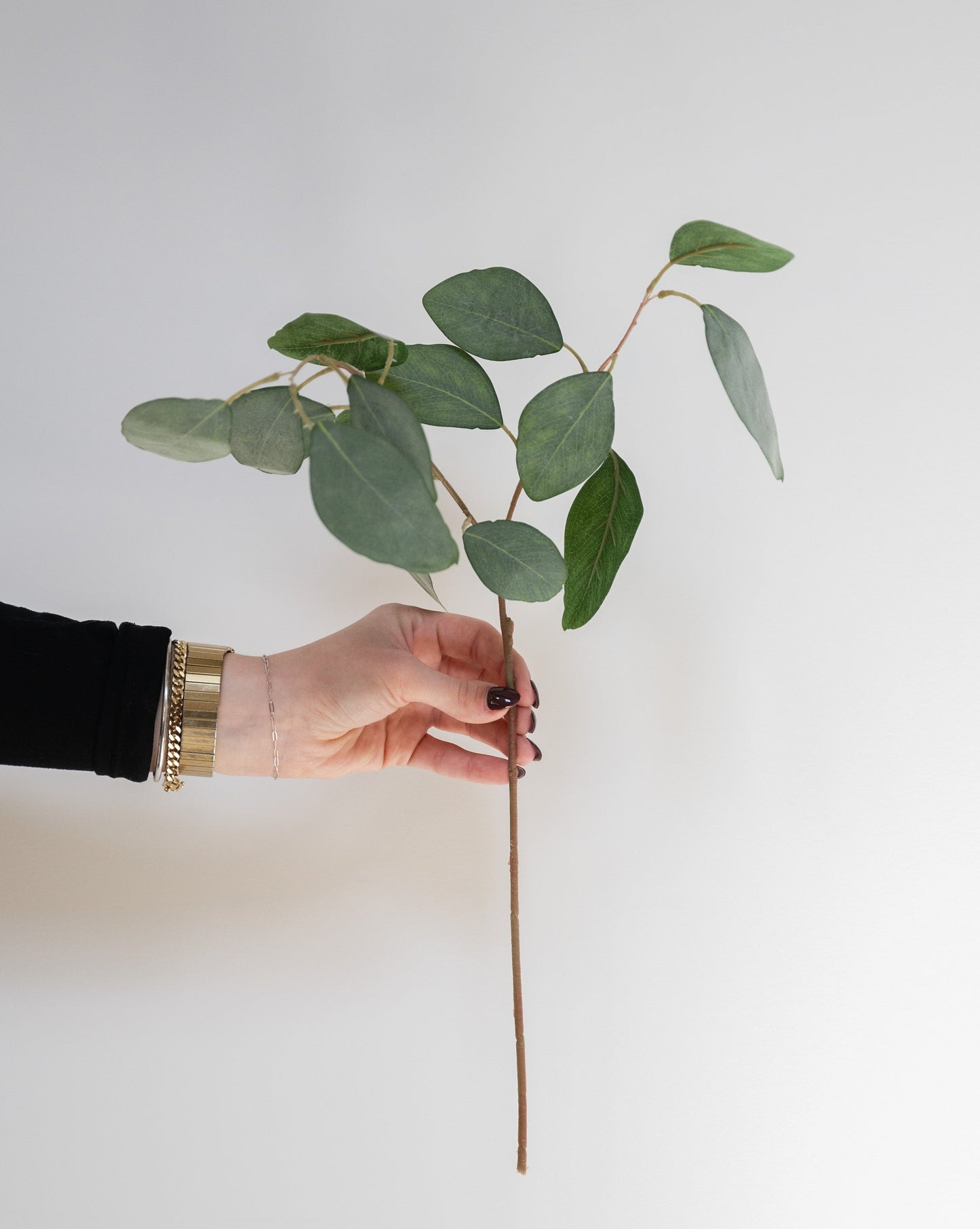 Eucalyptus Pick