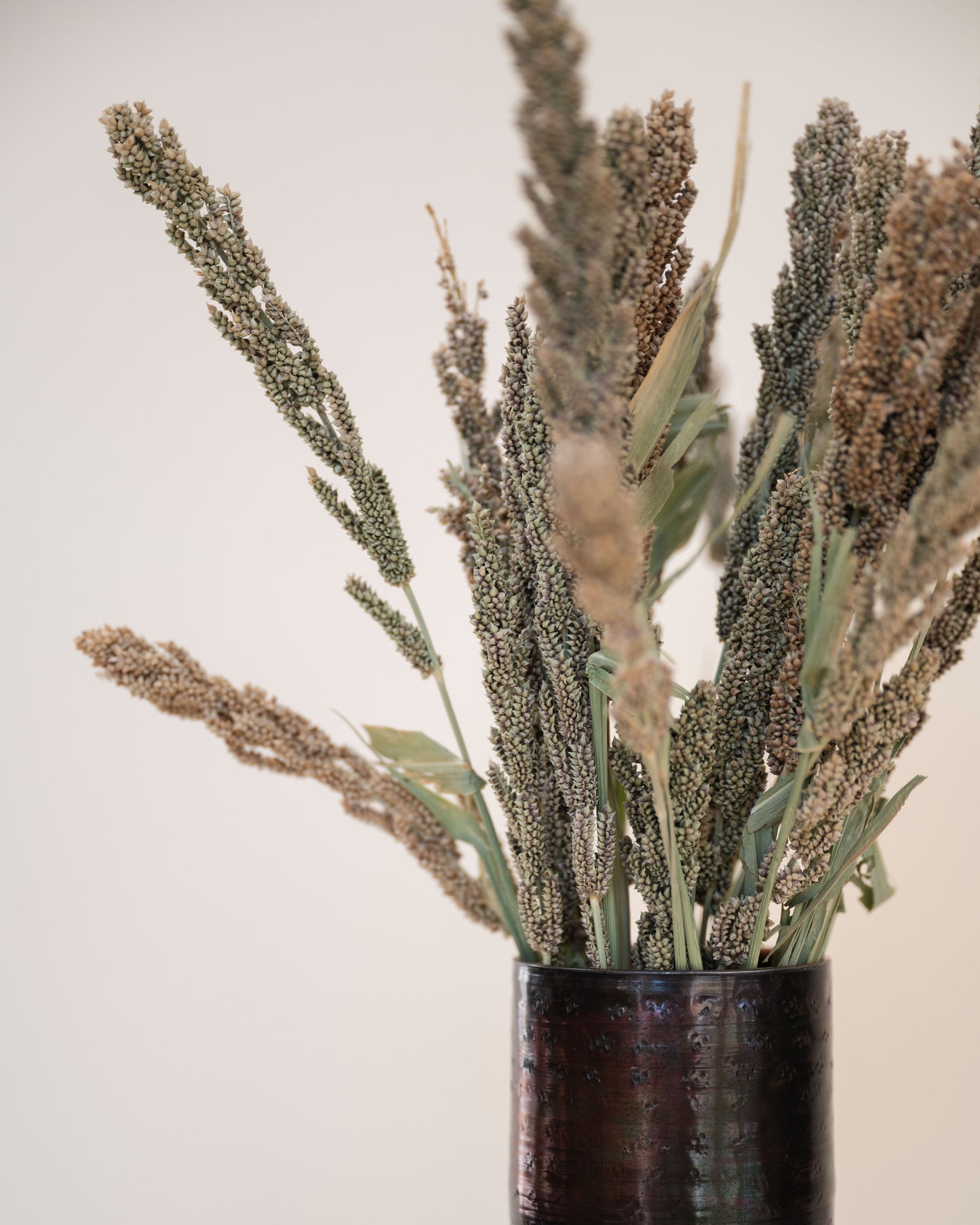 Dried Millet Bundle