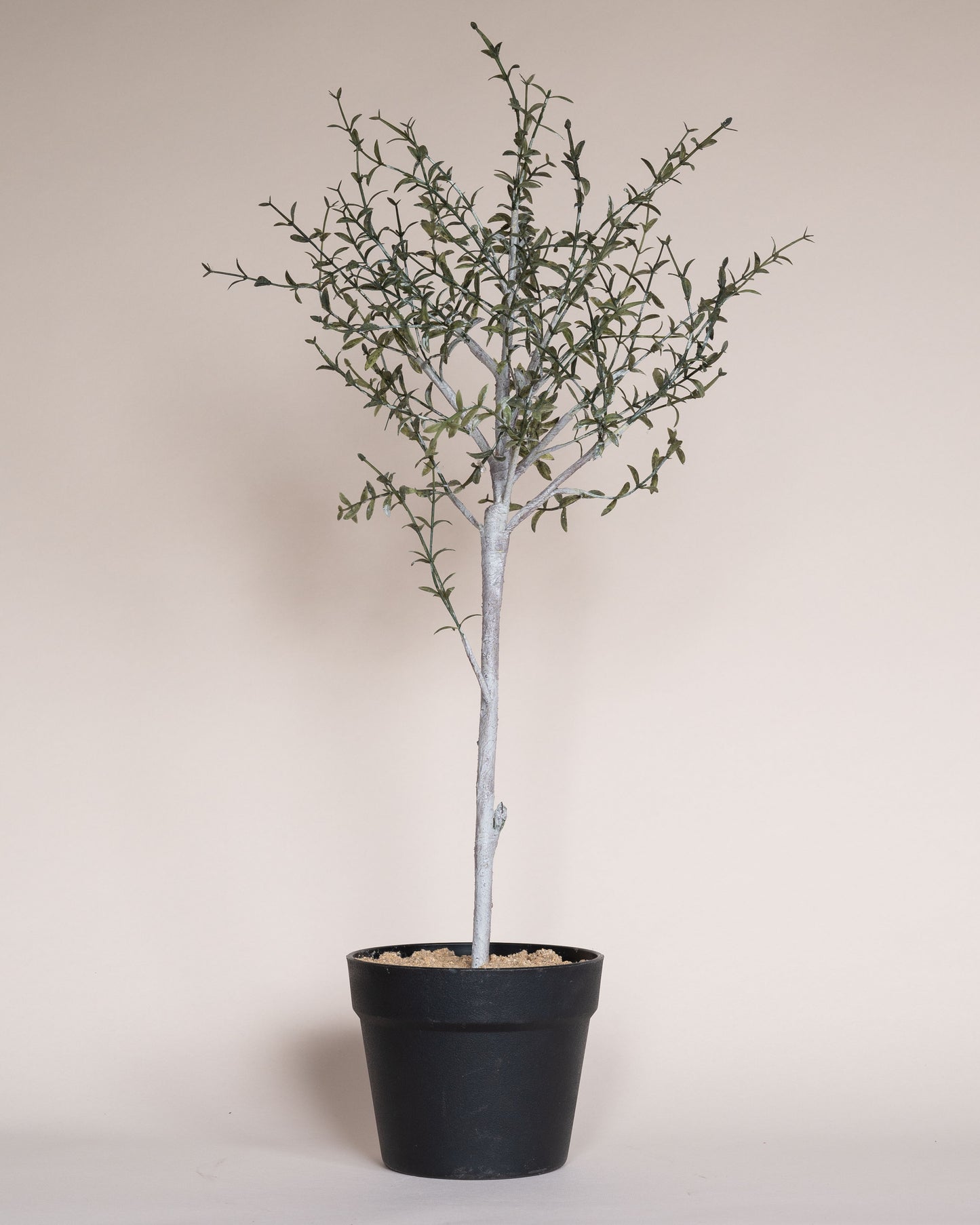 Faux Thyme Topiary in Pot