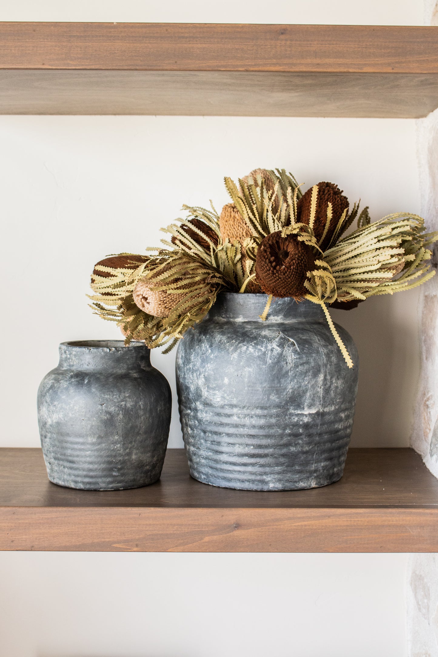Banksia Brown