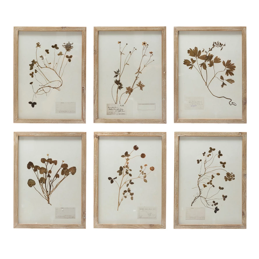 Everly Botanical Set