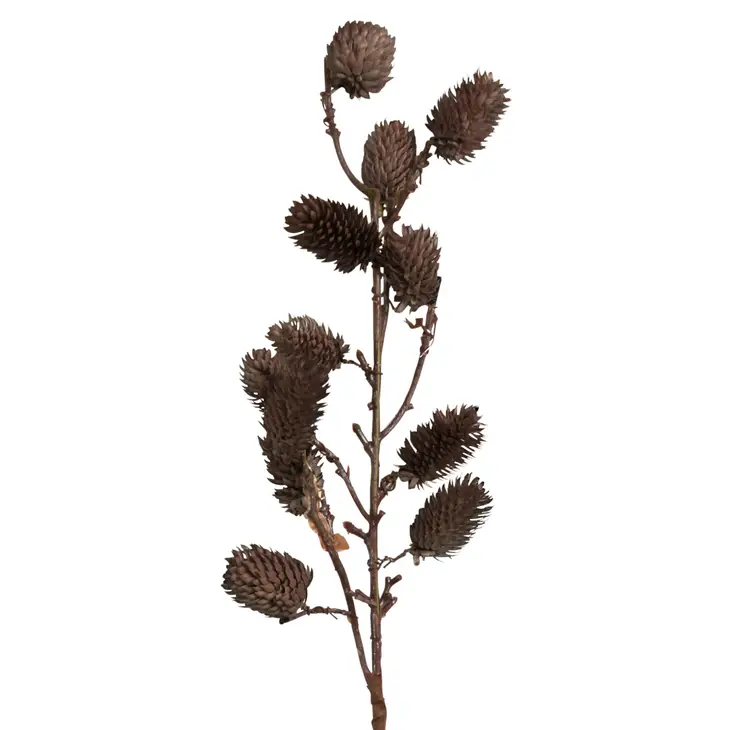 Botanical Sage
