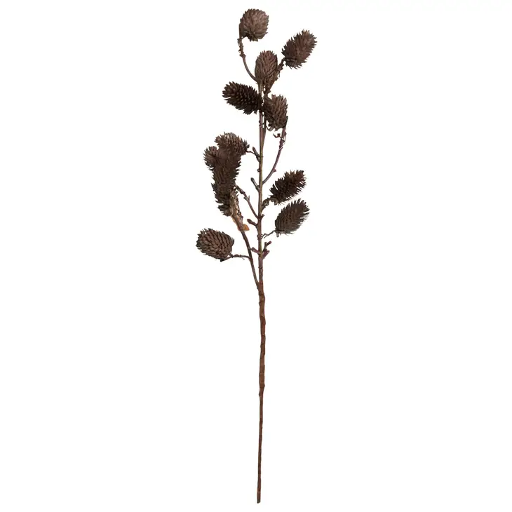 Botanical Sage