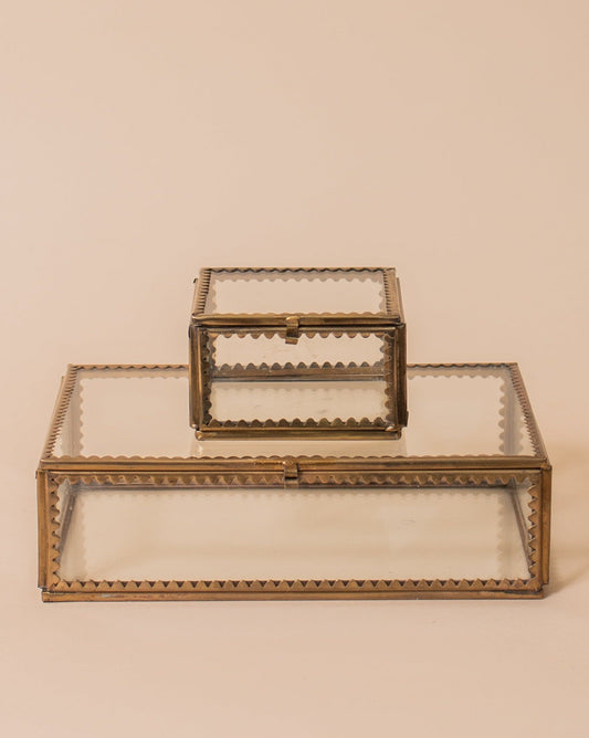 Brass & Glass Display Box w/ Scalloped Edge