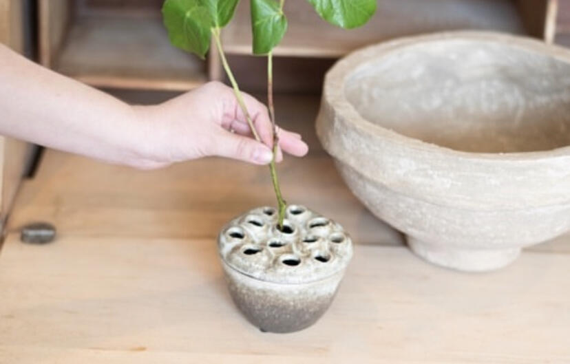 Lotus Vase