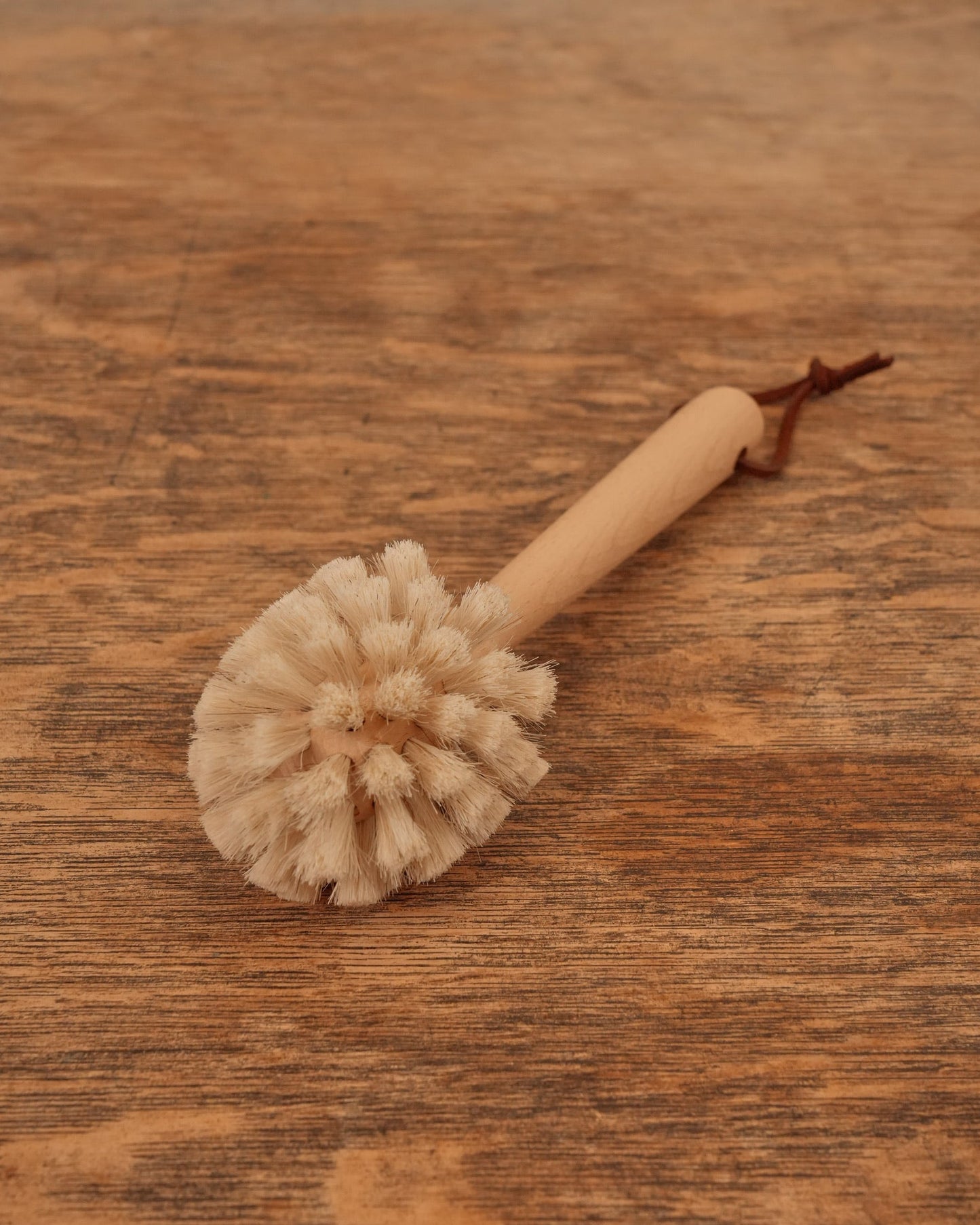 Casa Nueva Dish Brush