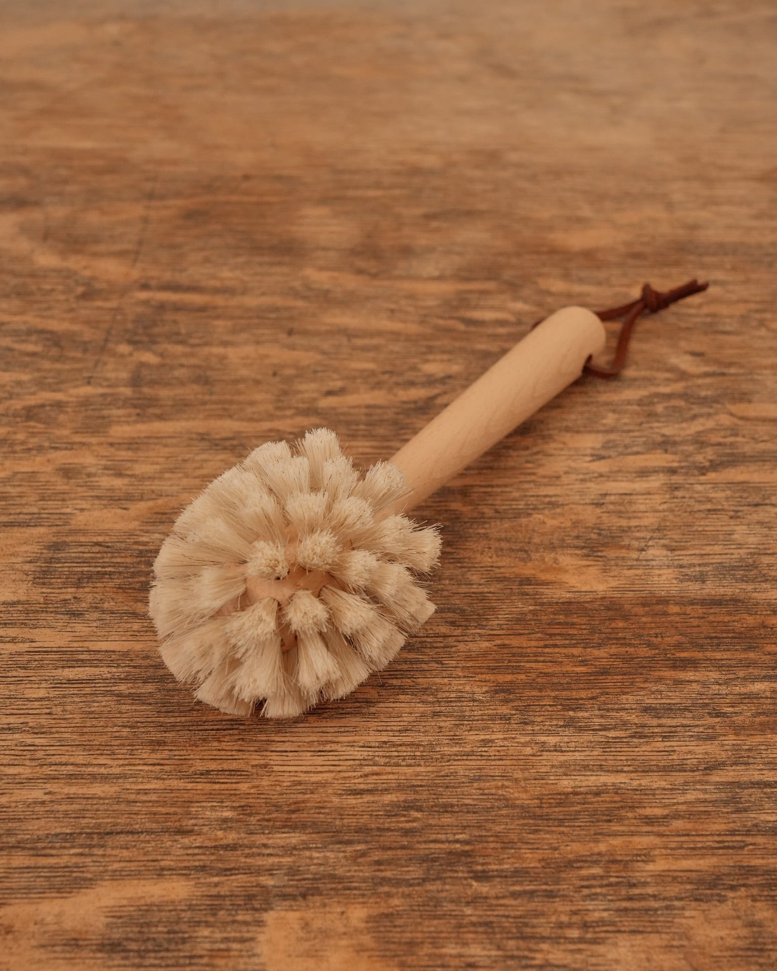 Casa Nueva Dish Brush