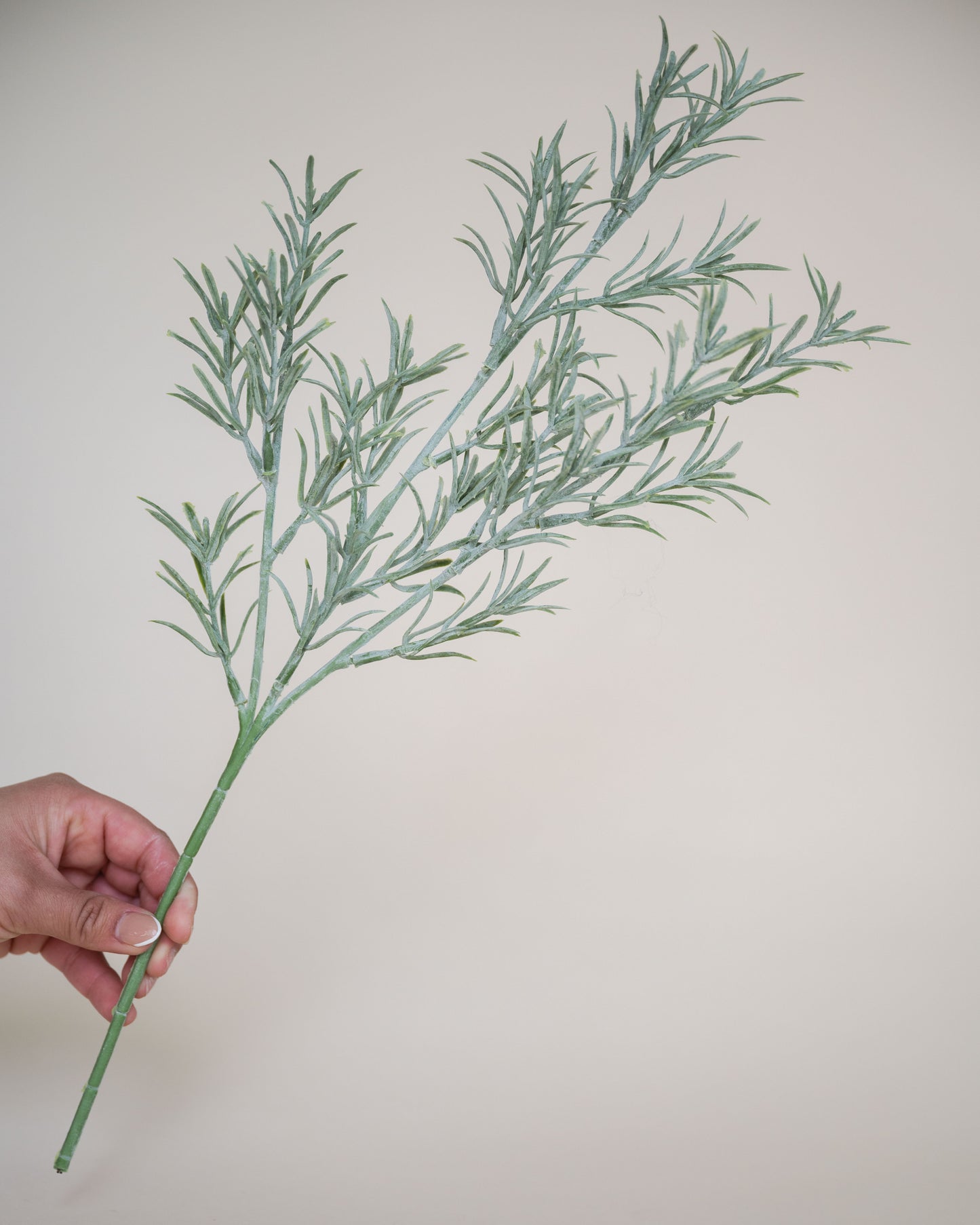 Rosemary Stem