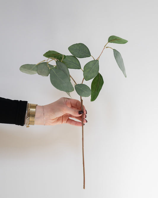 Eucalyptus Pick
