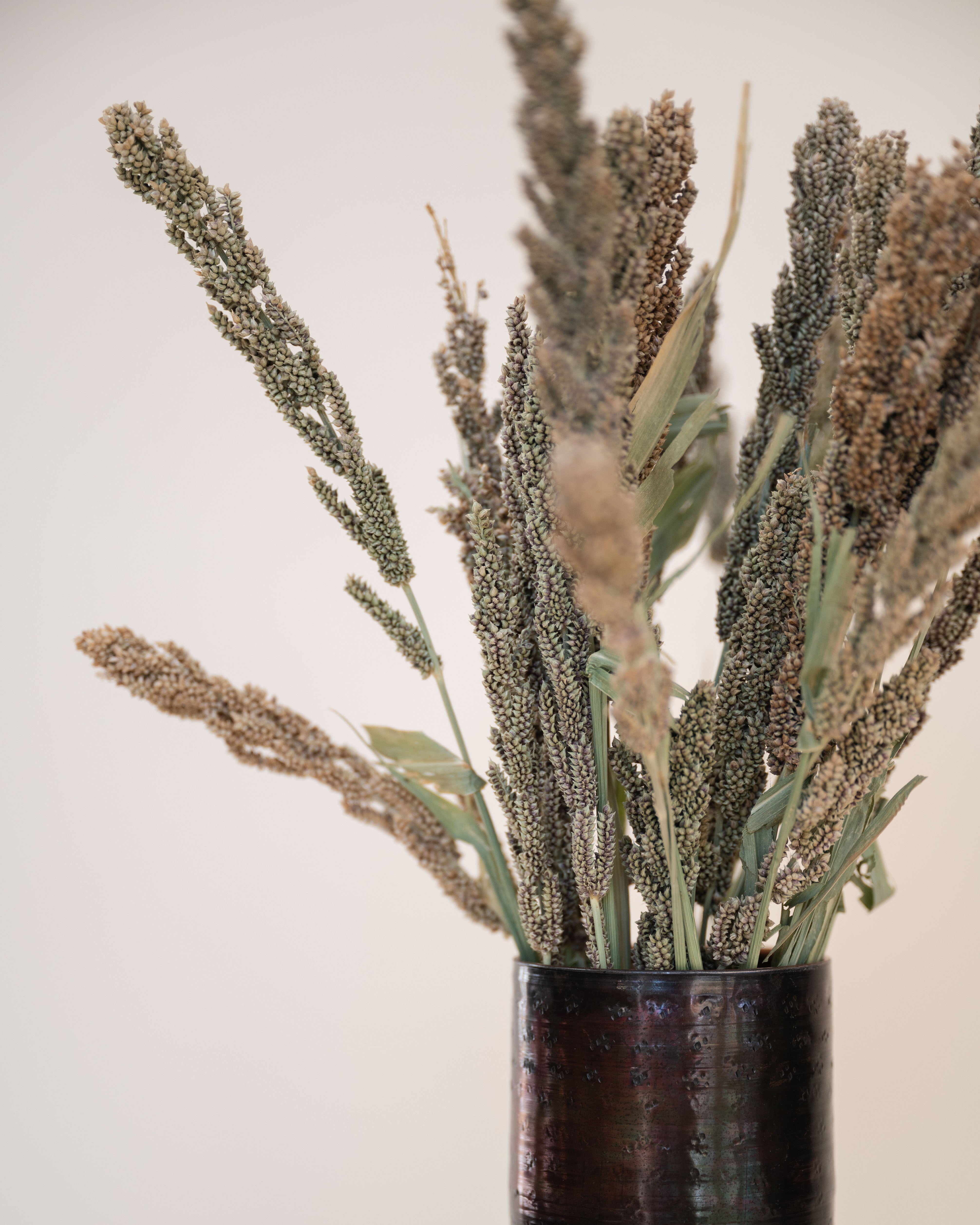 Dried Buddle Dried Millet Bundle | Shoppe at The Avenue