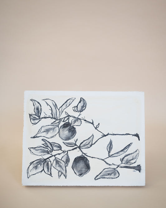 Citrus Sketch XIII