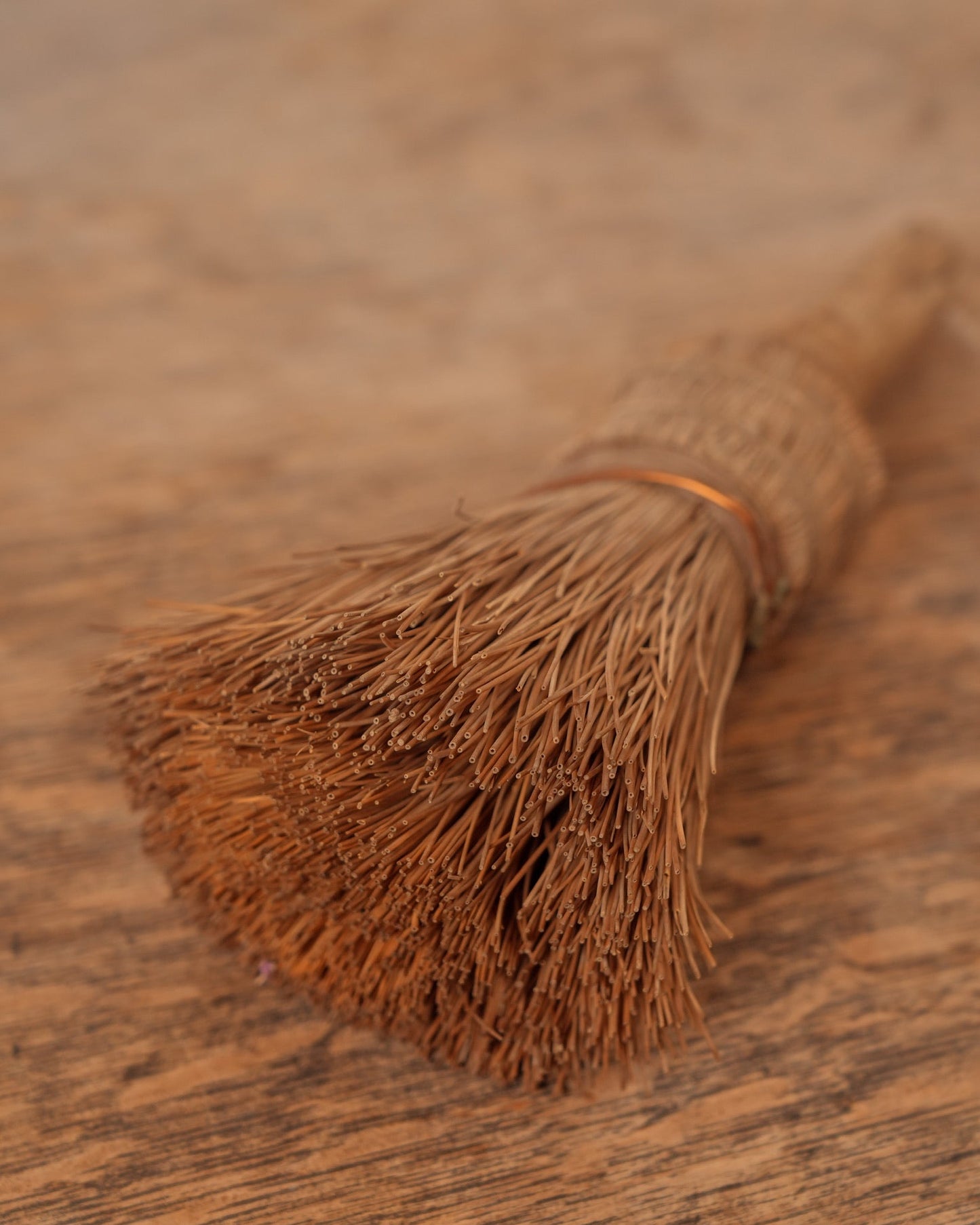 Rustic Paint Brush 06