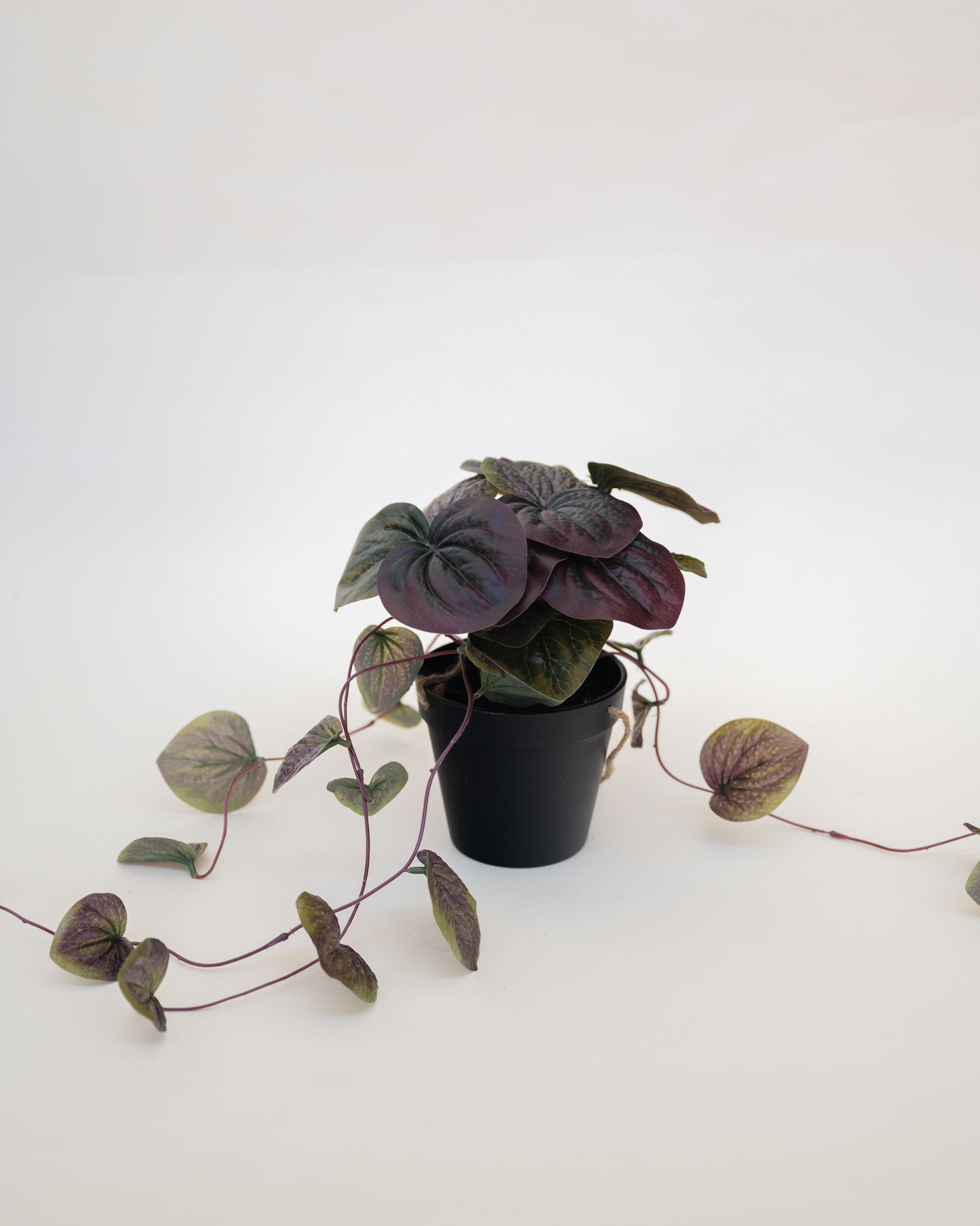 Trailing Begonia Faux Plant