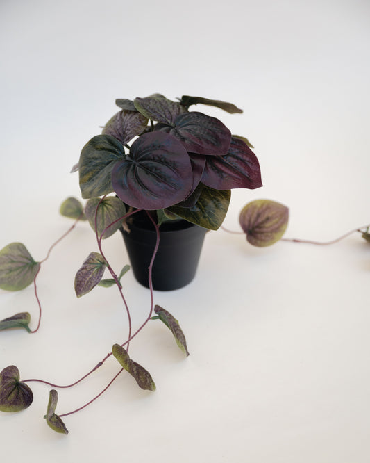 Trailing Begonia Faux Plant