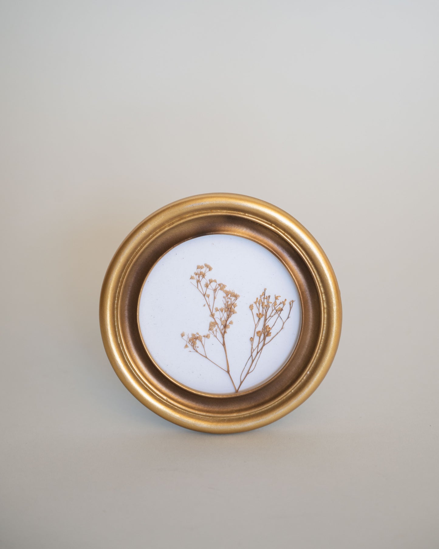 Gold Round Framed Botanicals